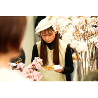 2026年、春の親睦は「花粉レス」な室内花見。福利厚生としても注目される、快適で新しいお花見体験