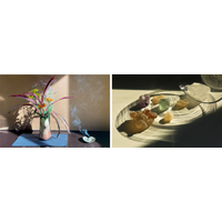 世界最古の香料 フランキンセンス 世界最高品質の南オマーン産で 奥深い世界を体験 焚き比べで品質や産地の違いを知る 法人向けセッションを4月20日より開始