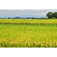 滋賀県甲良町のウエルネスツーリズムを紹介