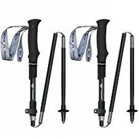 携帯用アルミ製トレッキングポールの世界市場：メーカー、地域、タイプ、アプリケーション別、2026-2032年の予測