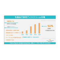 乳製品不使用アイスクリーム市場の需要、シェア、動向、成長、機会および洞察分析（2025年～2035年）