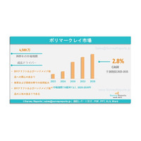 ポリマークレイ市場：世界調査レポート、需要、シェア、メーカー、規模、成長、動向、展望（2025年～2035年）
