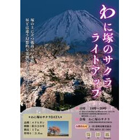 樹齢300年を超える一本桜～「わに塚のサクラ」ライトアップ2026