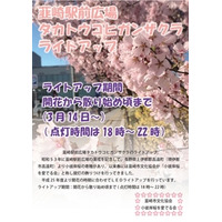 韮崎駅前広場でタカトウコヒガンザクラのライトアップを実施