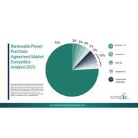 仮想契約、ハイブリッド型電力購入契約、デジタルエネルギープラットフォームが再生可能電力購入契約の導入を再定義