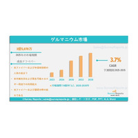 ゲルマニウム市場の需要、シェア、動向、成長、機会およびインサイト分析（2025年～2035年）である