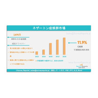 ネザートン症候群市場：需要、シェア、動向、成長、機会およびインサイト分析（2025～2035年）である。
