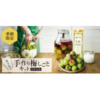 自分好みの梅酒・梅シロップをつくろう！「おうちで手作り梅しごとキット2026」チョーヤ梅酒オンラインショップ「蝶矢庵」にて数量限定販売　～2026年4月1日（水）から予約受付開始～
