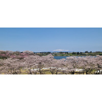 東北風土マラソン 世界18カ国から約5,000人が集結！ 海外からランナー350人がエントリー！過去最多を更新 ～4/19大会当日取材を受付開始／メディアランナーも募集中～