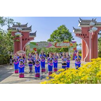 攀枝花市の仁和区が伝統的な民族の祝祭、イ族「姉妹祭り」を主催