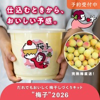 【予約受付開始】仕込むときから、おいしい予感。年に一度の「梅干しづくりキット“梅子”」「梅酒づくりキット“梅助”」2026年版が今年もやってきました！