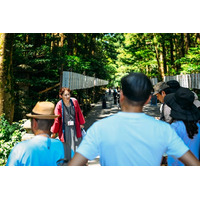 年に一度、4月18日だけ。奈良時代から続く舞楽「大々神楽」ガイド付き特別ツアー開催 in 新潟・彌彦神社