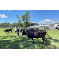 「岐阜大学美濃加茂農場」を応援するクラウドファンディングを開始！