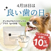《POCHI》「デンタルプロバイオティクス プラス」が10％オフに