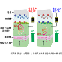 電圧駆動による安定な磁気情報書き込みの新技術を開発