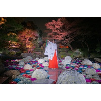 大濠公園日本庭園『宙-SORA-』に新コンテンツ「浮花 -Fuka-」誕生