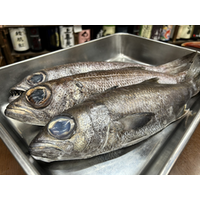 熱海ミニ横丁、4周年を迎えさらなる進化へ！ 累計来場者数6万人突破！料理100種以上！酒1,000種以上！