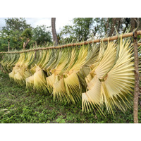 開発から取り残されたインドネシアの離島”スンバ島”でバリ島にロンタルの葉を出荷する人たちを紹介する動画を公開