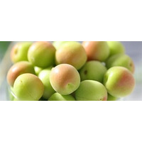 日本一の収穫量を誇る和歌山県の梅をＪＡタウンで販売開始！