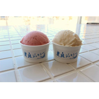 酪農の課題を「おいしい」で解決ーホエイを廃棄せず「フルーツジェラート」で活用【山梨県】