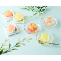 【ベルアメール京都別邸】京都の伝統と季節を閉じ込めた涼菓コレクションをお届け― みずみずしさと彩りで楽しむ、和モダンショコラの世界 ―