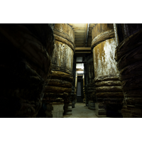 足立醸造の本社蔵見学とラベンダーパーク多可を巡る体験ツアーを開催