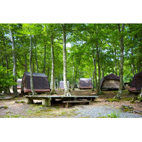 自然豊かな国立公園内にある休暇村庄内羽黒・羽黒山キャンプ場が　4月25日よりオープン～オフシーズン料金が登場！よりお得にご利用いただけます～