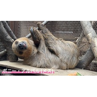 【宇都宮動物園】 園内初となる室内展示場を開設