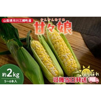 山梨県産とうもろこし「甘々娘」を産地直送通販サイト「ＪＡタウン」で予約販売中！