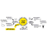 EYストラテジー・アンド・コンサルティング、観光庁のオーバーツーリズム対策・手ぶら観光推進の調査を支援