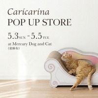 GW期間限定｜猫用爪とぎソファ「カリカリーナ」初のPOP UP STOREを東京・東麻布で開催（5/3～5/5）