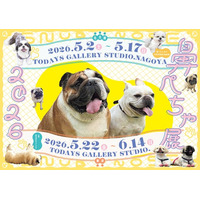 ぶひ可愛い♪パグ・シーズーなど「鼻ぺちゃ犬」作品が名古屋に集結「鼻ぺちゃ展2026」5/2(土)～開催！会場限定グッズも多数展開東京開催　5/22(金)～6/14(日)