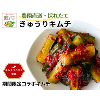 農家コラボキムチ【1960年創業キムチ専門店第一物産三代目キムチソムリエ監修】400年続く農園の「こだわりきゅうり」を使用した手仕込みキムチを初コラボで限定販売