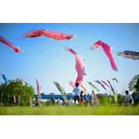 【埼玉県狭山市】GW・2026年5月3日から6日に入間川で開催！「義高の鯉のぼり」