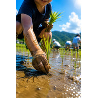 【福助ファーム：三田市】6月7日(日) 開催！“お米ってこうやってできるんだ！”親子で学ぶ、泥んこ農業体験＋食育イベント