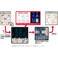 バイオものづくりを支える培養―その基盤となる培地の違いや状態を見分ける新技術