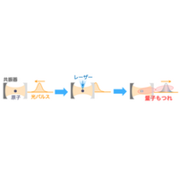 光と原子つなぐ新量子ゲートを提案