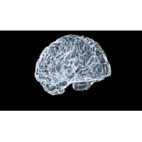 最先端材料科学研究：パーキンソン病に関連したタンパク質の凝集阻止の可能性
