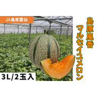 長崎県産の「島原風香 マルセイユメロン」がJAタウンのショップ「もぐもぐながさき」に初登場！