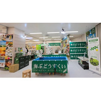 年間5万人が訪れる海ぶどうテーマパーク「海ん道」が期間限定で池袋に登場！