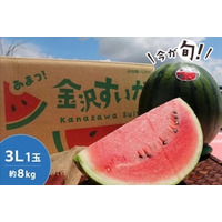 砂丘地が育てる、甘さとシャリ感が特長の石川県産「金沢すいか」を JAタウン「かが・のと味自慢」で販売中!