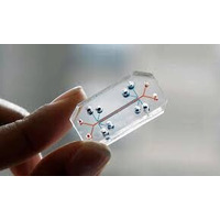 人間生体機能チップ市場の最新予測、2026年に281百万米ドル規模へ