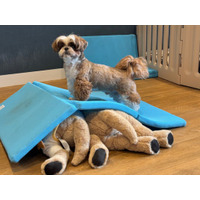 自宅で愛犬の運動習慣を支える三つ折りマット「AirSlope」、Makuakeで先行販売