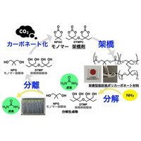 CO2から生まれ、肥料と原料へ還るプラスチックシステム～炭素と窒素を循環利用する新しい高分子資源循環系を実証～