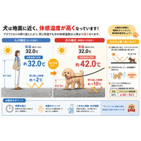 酷暑・猛暑で増える犬の熱中症。製造現場を中心に累計6万枚販売の熱中症対策シールを犬にも