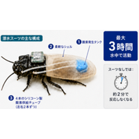 酸素供給スーツで3時間潜水するサイボーグ昆虫を実現