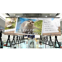 猛暑につき、水族館から“涼”をお届け。サンシャイン水族館の生き物たちがJR埼京線車両内をジャック！6月29日(月)より一足先に「暑中お見舞い申し上げます」