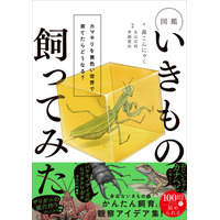 【Amazonランキング1位*獲得！】人気生き物系YouTuber・森こんにゃく初書籍『図鑑いきもの飼ってみた カマキリを黄色い世界で育てたらどうなる？』2026年7月27日（月）発売