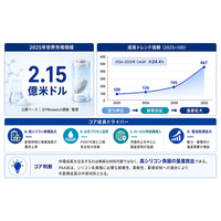 PAAアノードバインダー調査レポート：市場規模、シェア、動向、予測2026-2032