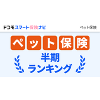 2026年6月最新版 ペット保険おすすめ人気ランキング公開のお知らせ